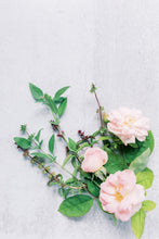 Load image into Gallery viewer, Stress Less Tulsi + Rose Tea