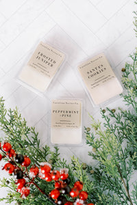 Frosted Juniper Soy Wax Melts